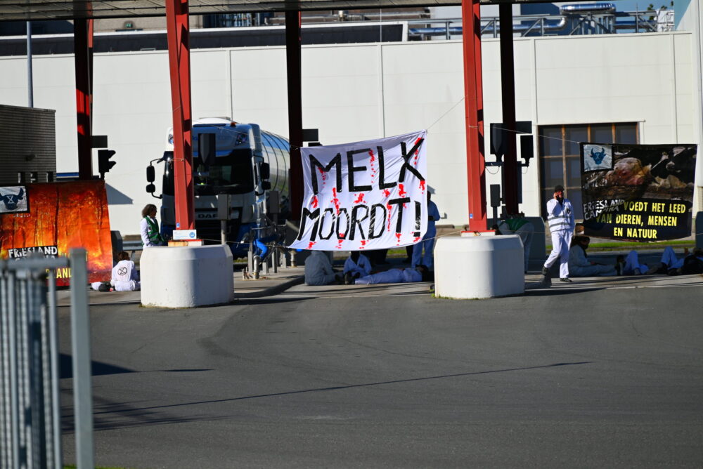 Actievoerders klimmen over hekken van FrieslandCampina in Leeuwarden