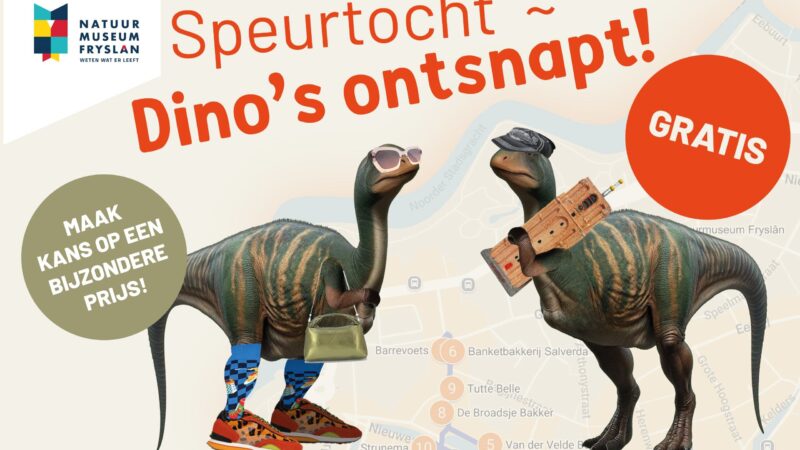 Dino’s ontsnapt in Leeuwarden