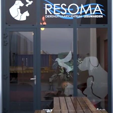 VIDEO: Overleden huisdier laten resomeren in plaats van cremeren.