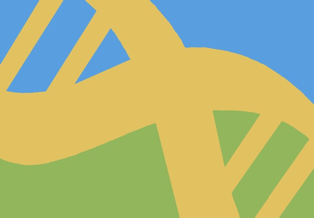 Bijeenkomst Licht&Liefde