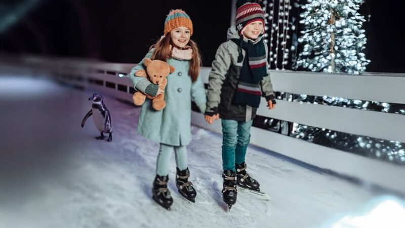 Schaatsen in Natuurmuseum Fryslân