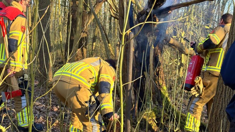 Brand gesticht in boomstronk in Leeuwarden