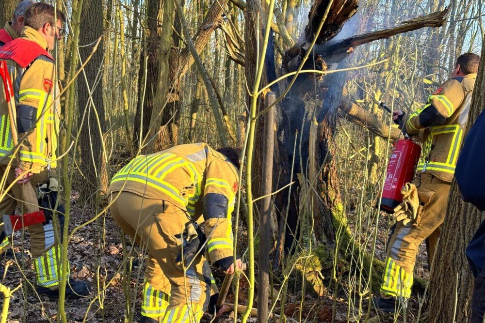 Brand gesticht in boomstronk in Leeuwarden