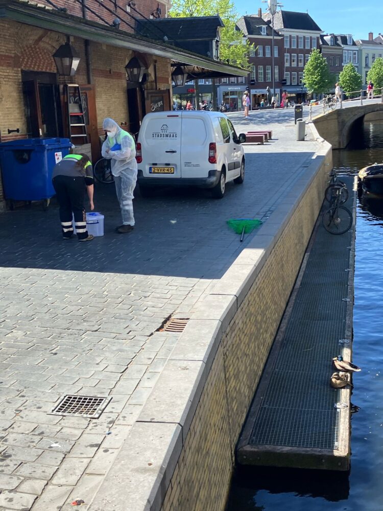 UPDATE: Gewonde eend aangetroffen bij De Waag in Leeuwarden, dierenambulance Ingeschakeld