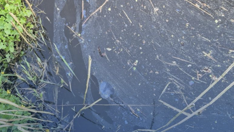 Politie vindt chemisch afval in sloot bij Easterlittens