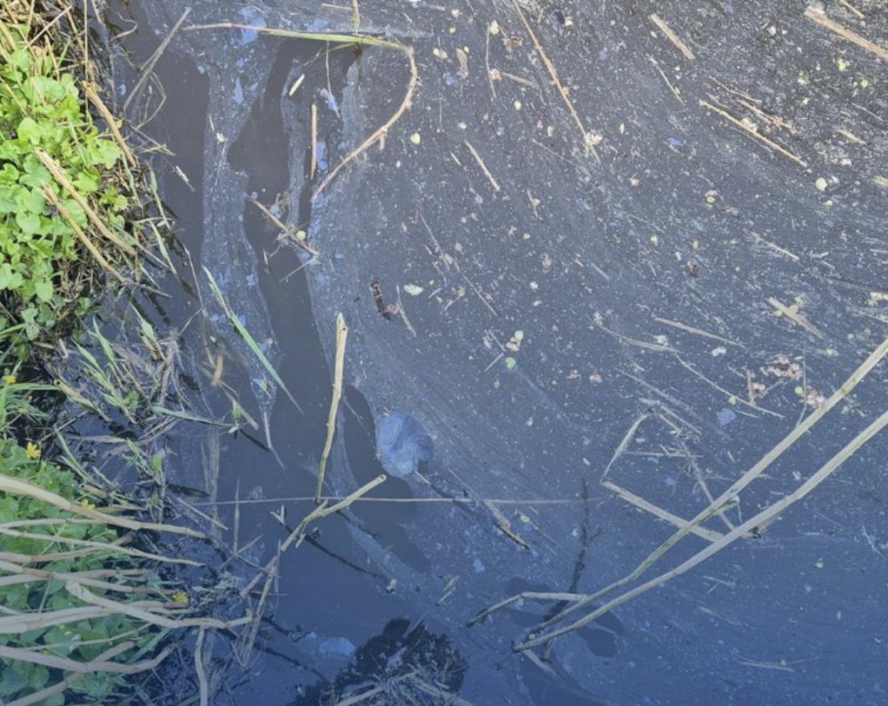 Politie vindt chemisch afval in sloot bij Easterlittens