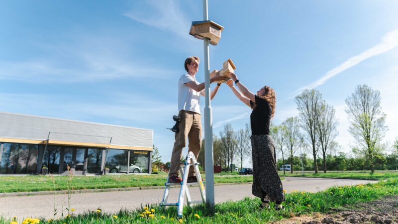 ​Gemeente Leeuwarden start onderzoek naar de wilde bij