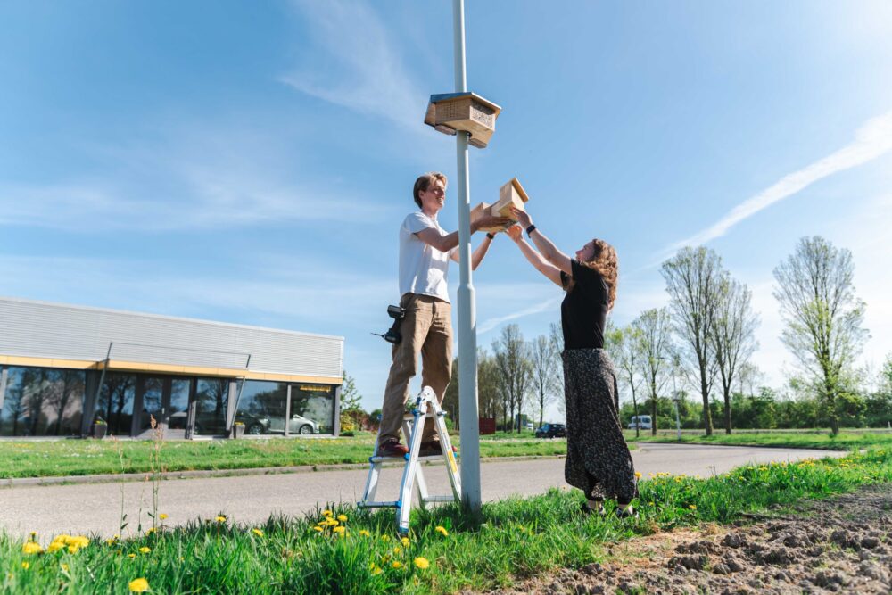 ​Gemeente Leeuwarden start onderzoek naar de wilde bij