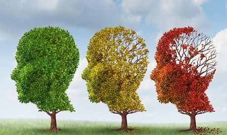 Informatiemarkt over dementie