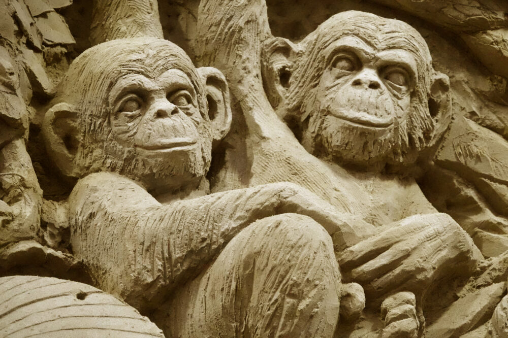 Zandkunst Tussen de Dieren: Zomerbelevenis in AquaZoo Leeuwarden