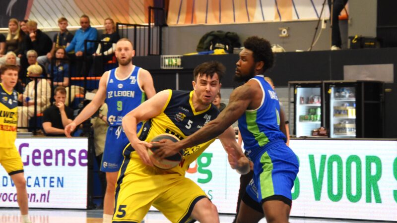 LWD Basket in nagelbijter langs ZZ Leiden