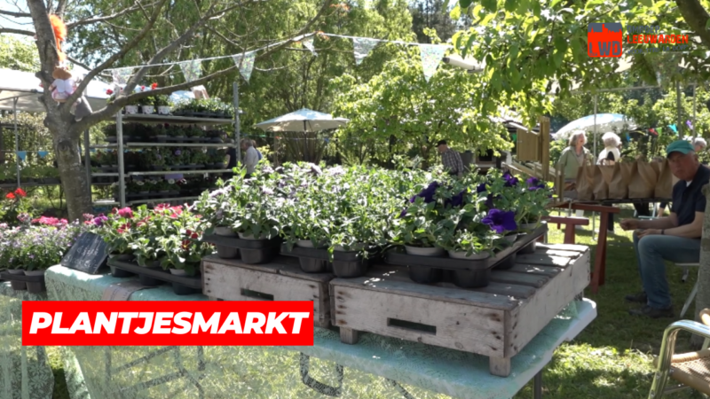 VIDEO: Plantjesmarkt Snakkerbuorren