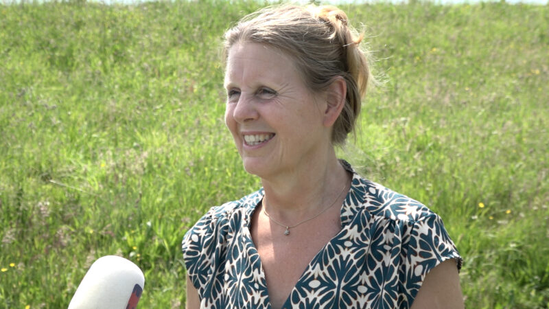 VIDEO: Archeologie dag 2025