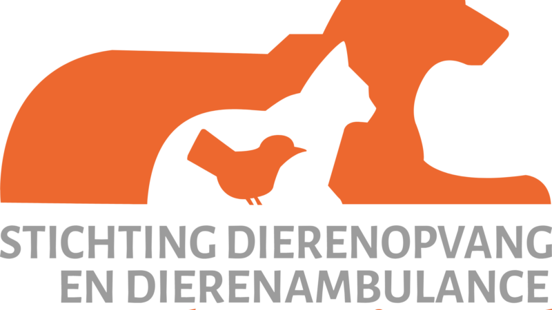 Katten chippen voor €6,- bij De Wissel in juni