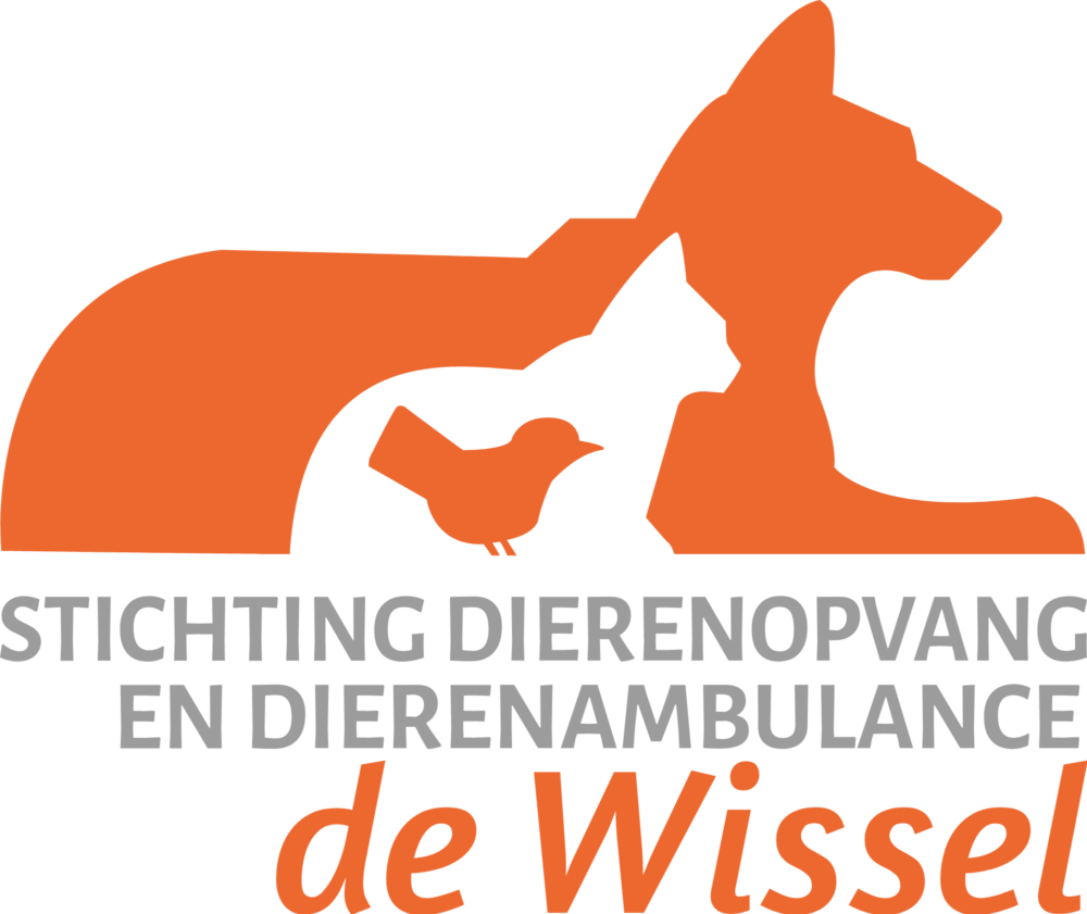 Katten chippen voor €6,- bij De Wissel in juni