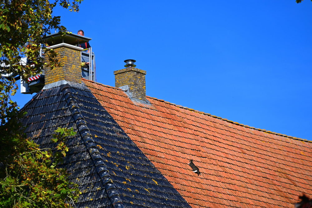 Brandweer inzet toch niet nodig voor kitten in Mantgum