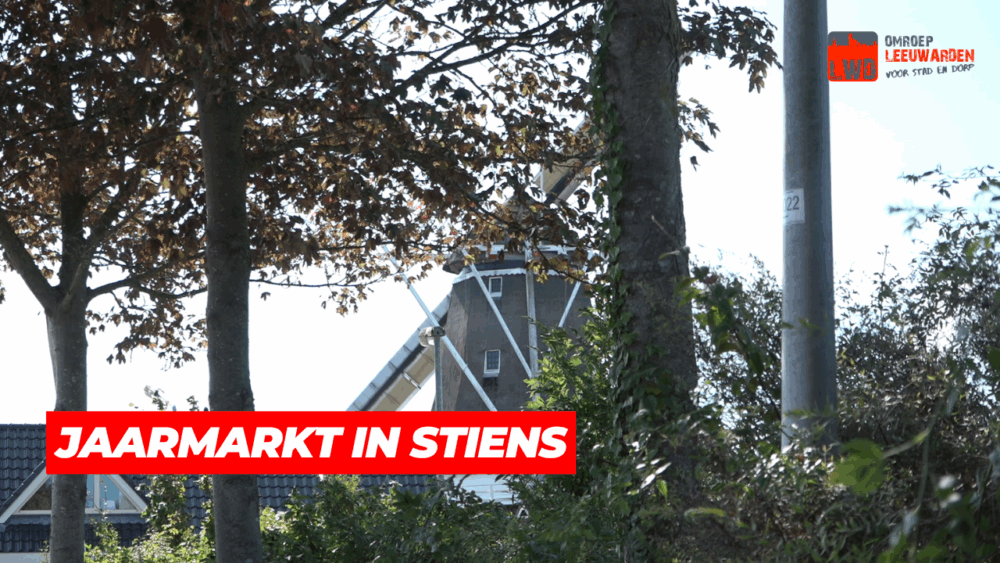 VIDEO: Jaarmarkt in Stiens