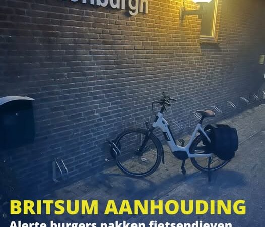 Oplettende inwoners van Britsum pakken fietsendieven