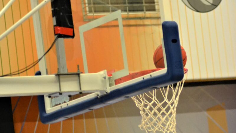 LWD Basket tegen Leuven Bears na verlenging onderuit