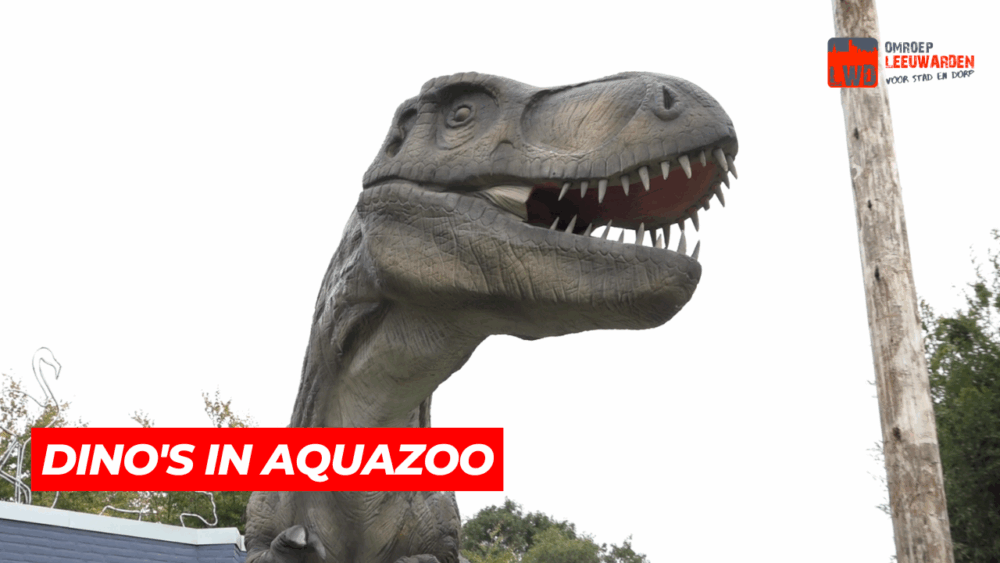 VIDEO: Dino’s in Aquazoo