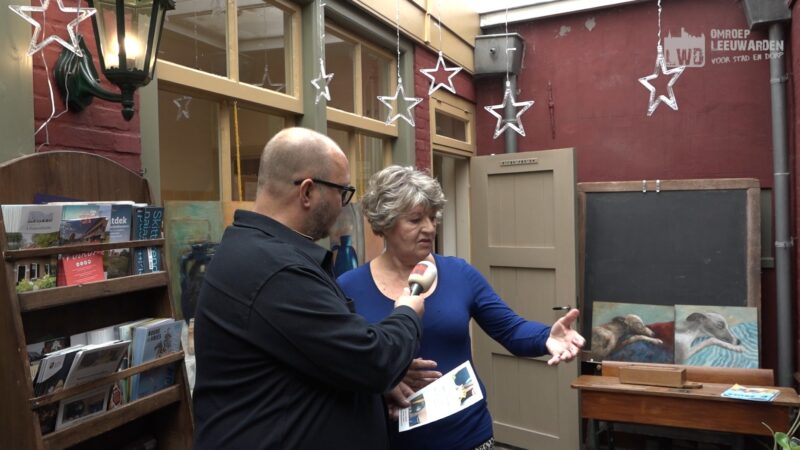 VIDEO: Twee Friese kunstenaars tonen dubbelperspectief in expositie ‘Samen en toch anders’