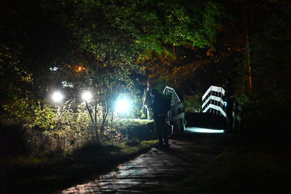 Persoon uit water gered aan Pasveerweg