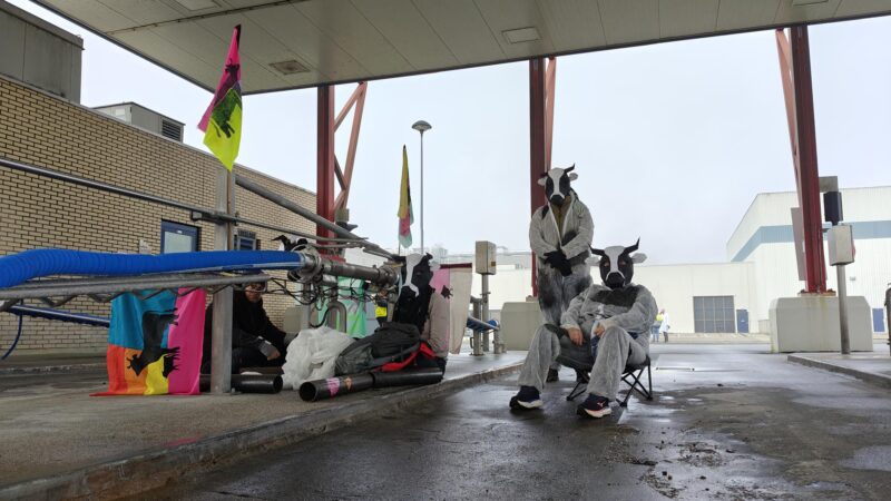 Extinction Rebellion voert actie bij zuivelfabriek FrieslandCampina in Leeuwarden