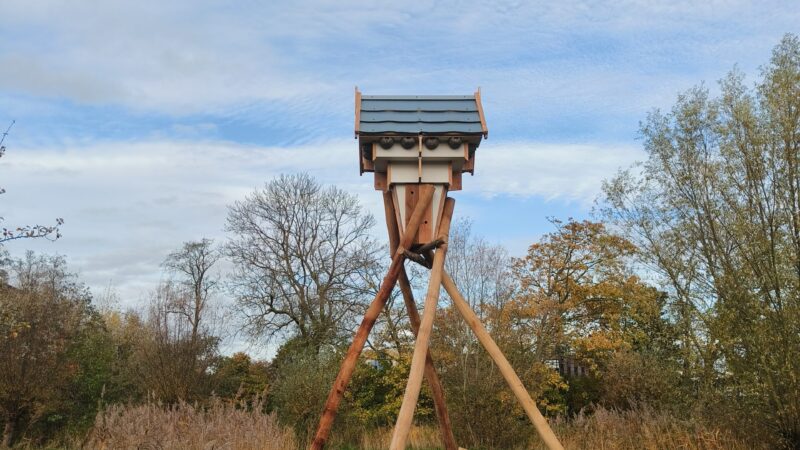 Nieuwe woonplekken voor vogels en vleermuizen in Potmargegebied