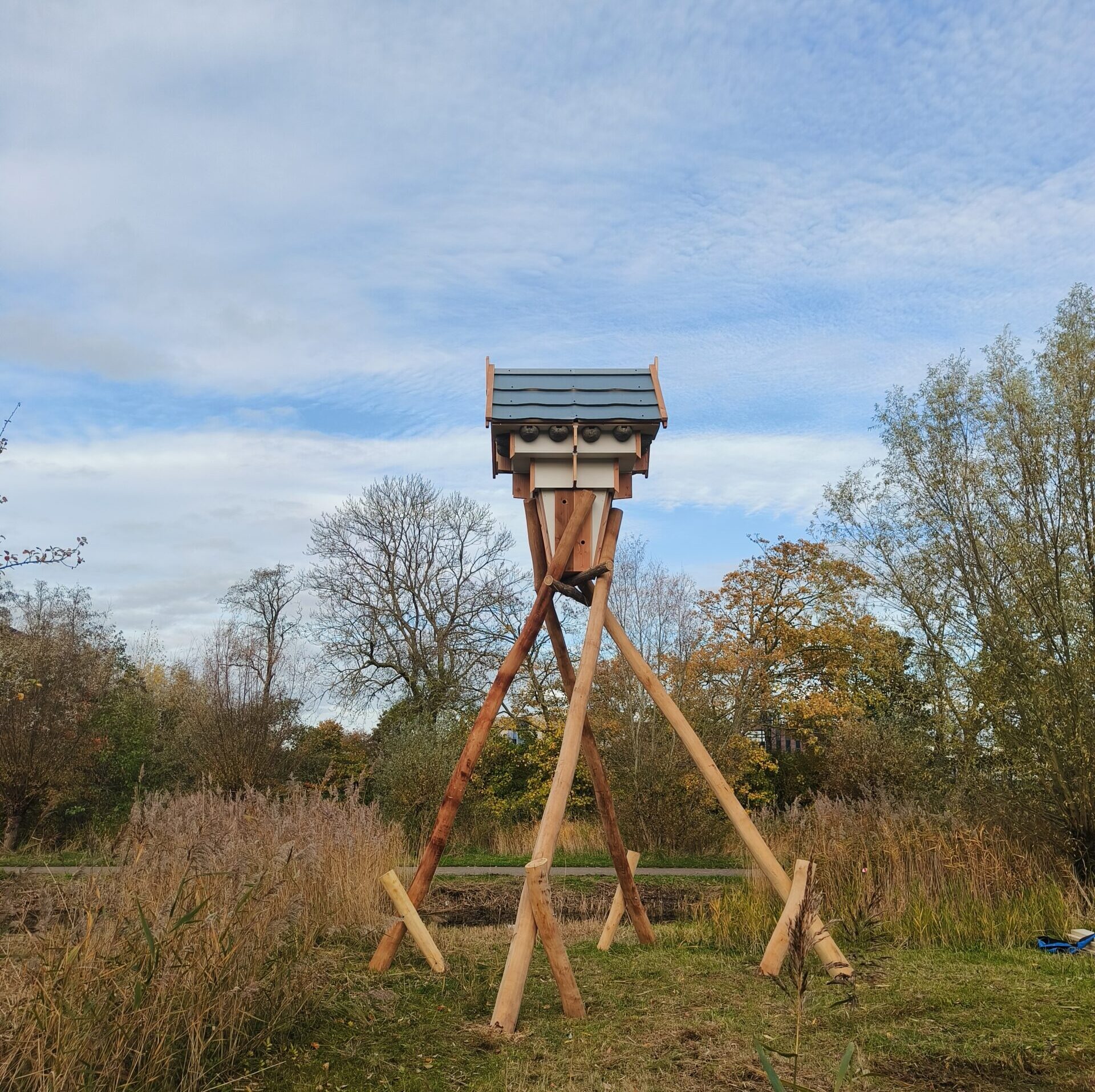 Nieuwe woonplekken voor vogels en vleermuizen in Potmargegebied