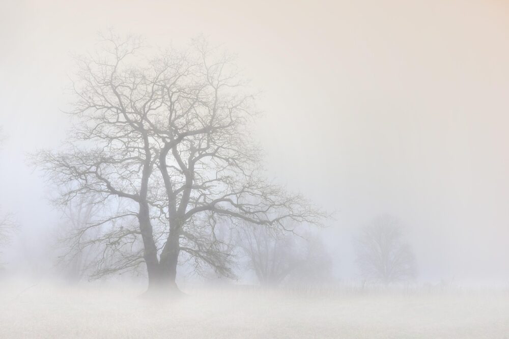 Code geel in Friesland wegens dichte mist tijdens avondspits