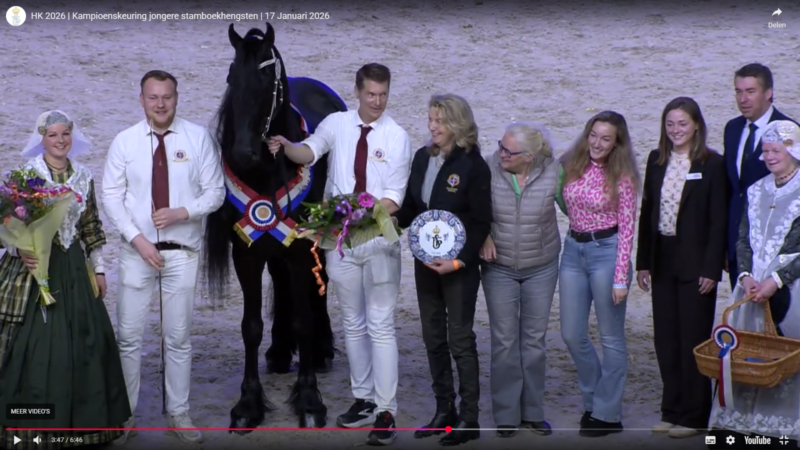Jeppe 537 kampioen op Hengstenkeuring 2026 in WTC Expo