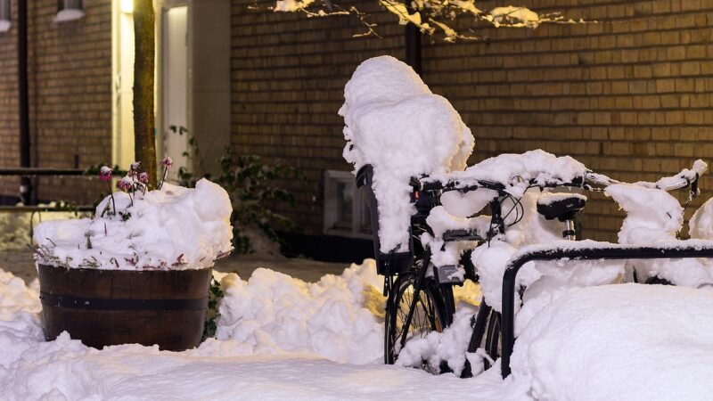 Wederom een dag met winterweer: vervoer staat stil en scholen dicht