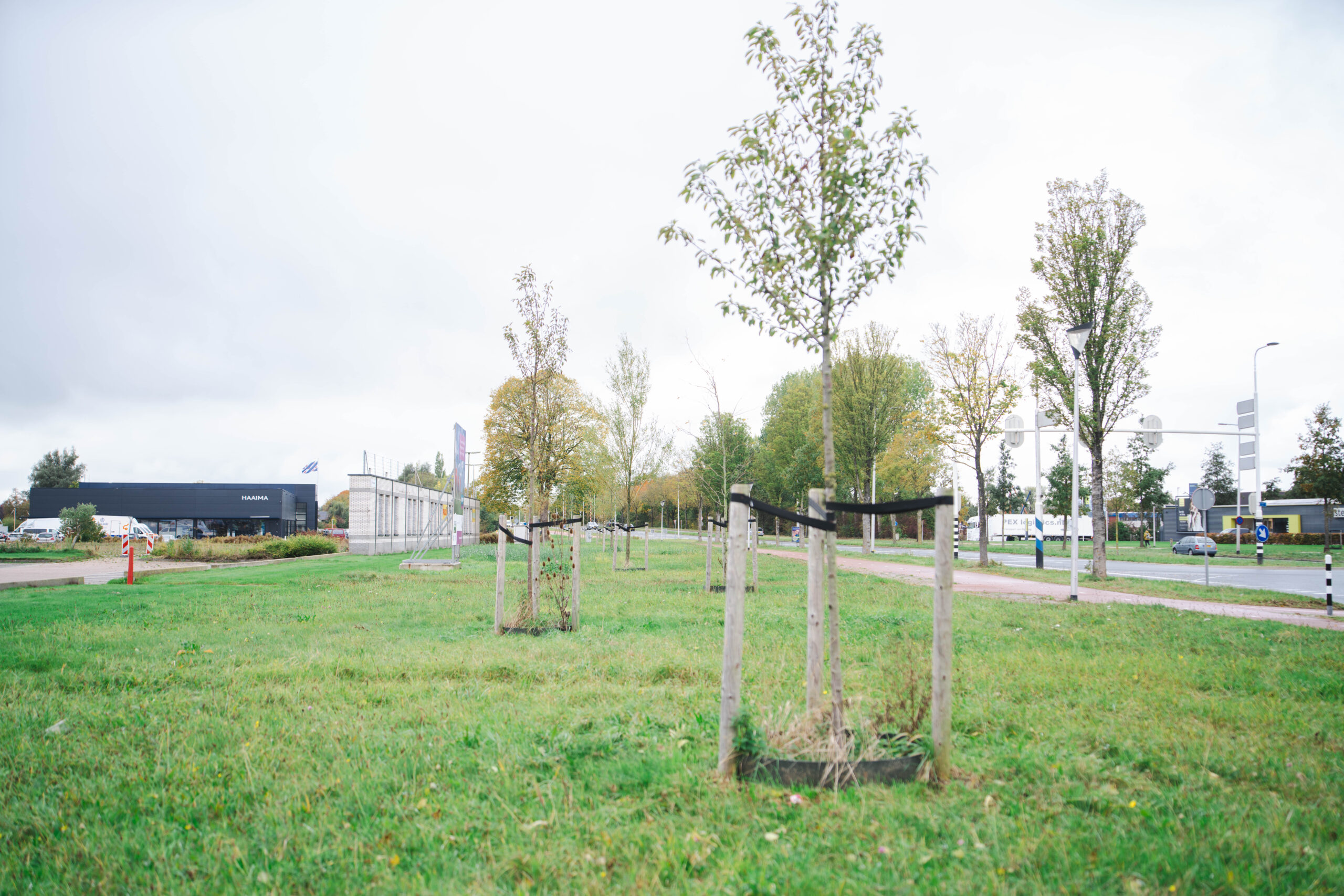Gemeente Leeuwarden plant deze winter maar liefst 760 nieuwe bomen