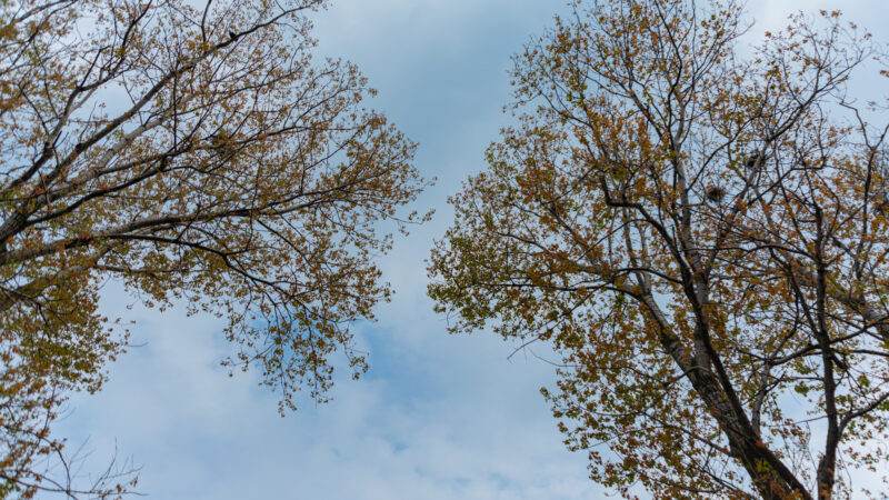 Mooi vooruitzicht aan het begin van het weekend in Leeuwarden