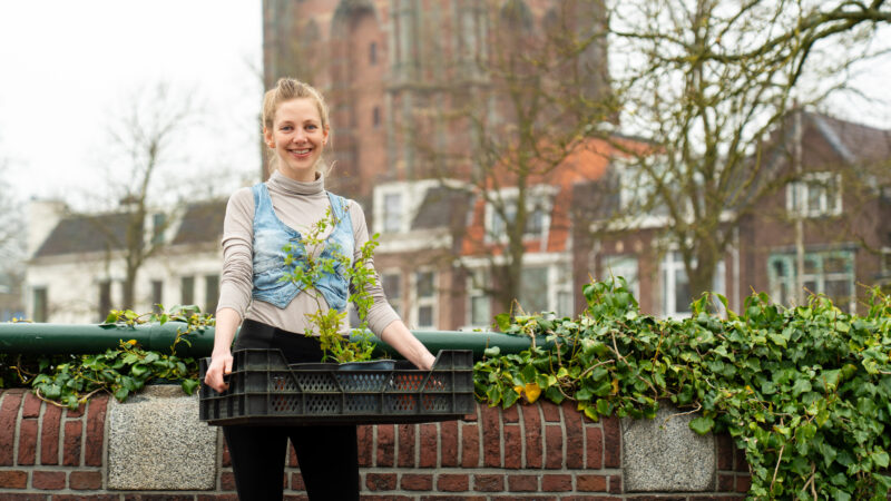 Straatboer Raphaelle Ritsema vergroent 25 voortuinen van bewoners WoonFriesland in Leeuwarden