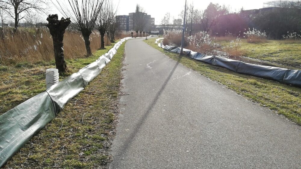 Studenten helpen kikkers en padden oversteken in Potmargegebied