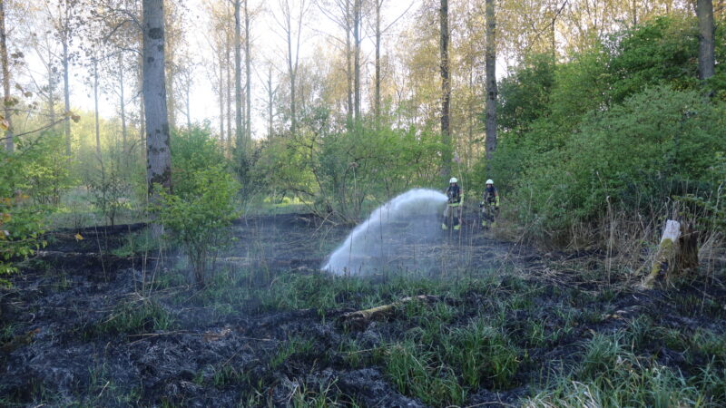 Snelle inzet voorkomt grote brand in bosschage Jelsum