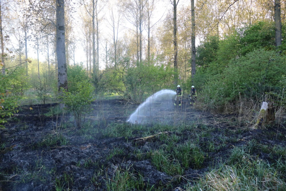 Snelle inzet voorkomt grote brand in bosschage Jelsum
