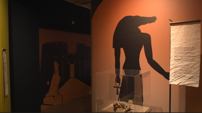 VIDEO: Natuurmuseum Fryslân onthult nieuwe mummie mysteries