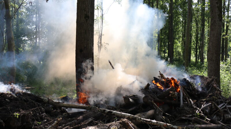 Bosbrand veroorzaakt flinke rookontwikkeling bij Jelsum