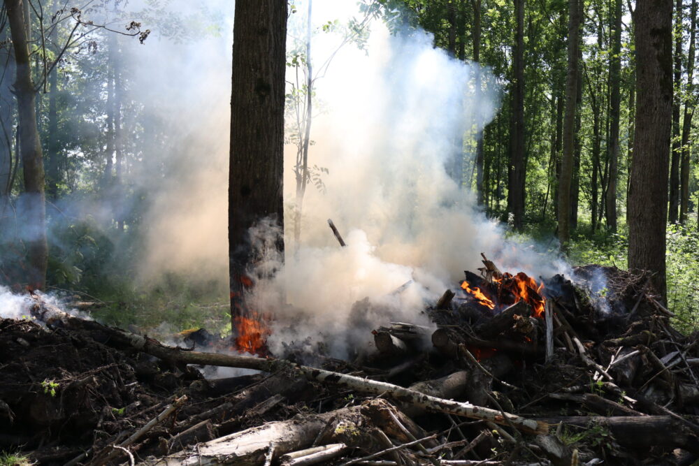 Bosbrand veroorzaakt flinke rookontwikkeling bij Jelsum