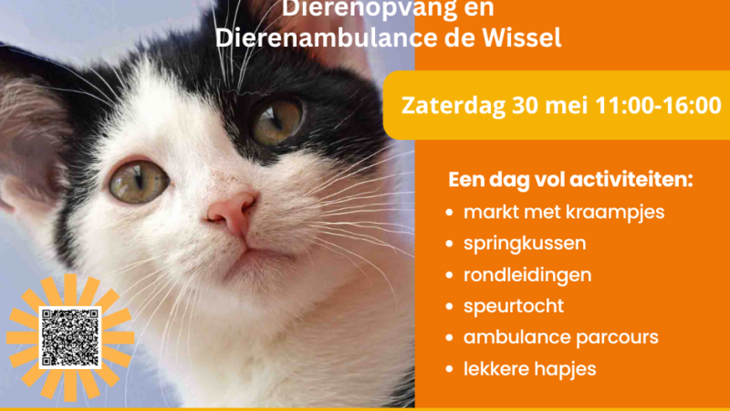 Open dag bij Dierenopvang en Dierenambulance De Wissel in Leeuwarden