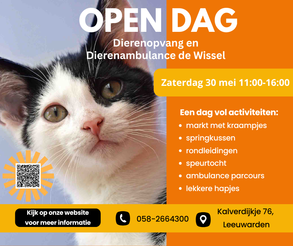 Open dag bij Dierenopvang en Dierenambulance De Wissel in Leeuwarden