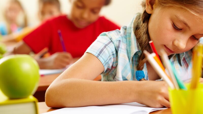 Zorgen om taal en rekenen in het basisonderwijs: Vijf perspectieven