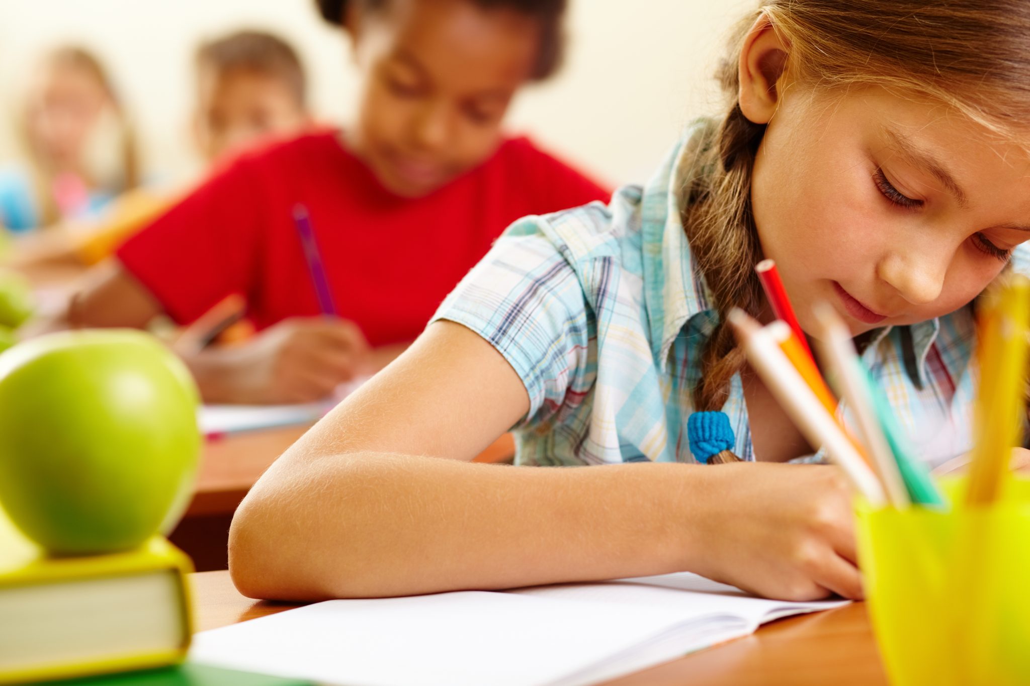 Zorgen om taal en rekenen in het basisonderwijs: Vijf perspectieven