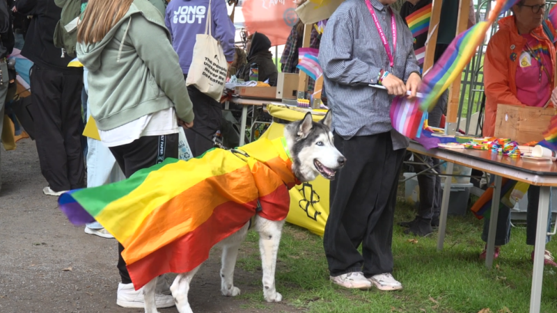 VIDEO: Pride Leeuwarden