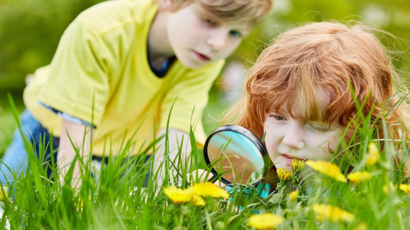 Biodiversiteitsdag speurt naar soorten: ‘gezamenlijk natuuravontuur’