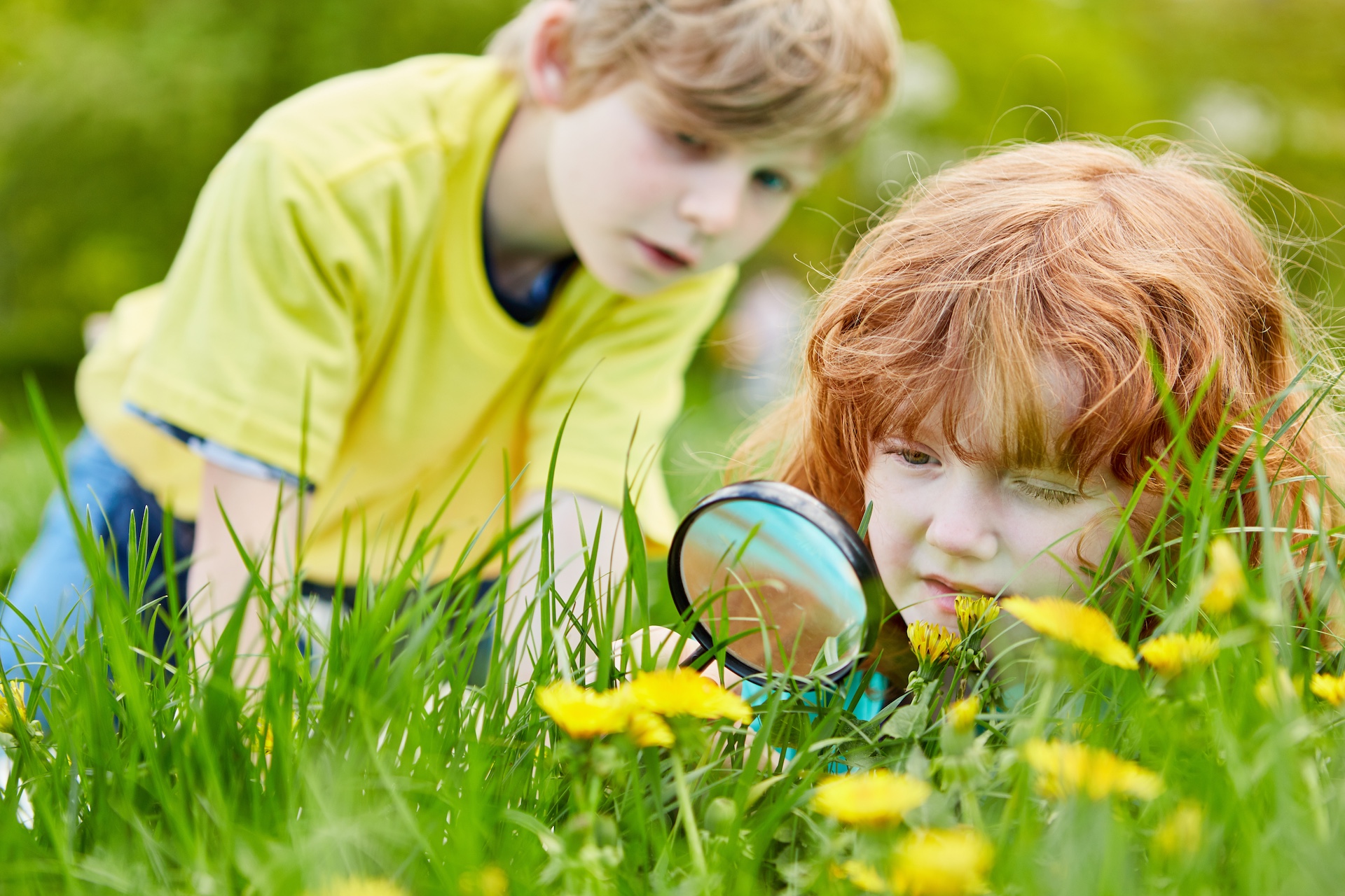 Biodiversiteitsdag speurt naar soorten: ‘gezamenlijk natuuravontuur’