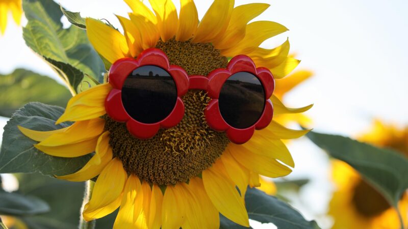 Vrouwen, opgelet! Dit zijn de beste tips voor het warme weer
