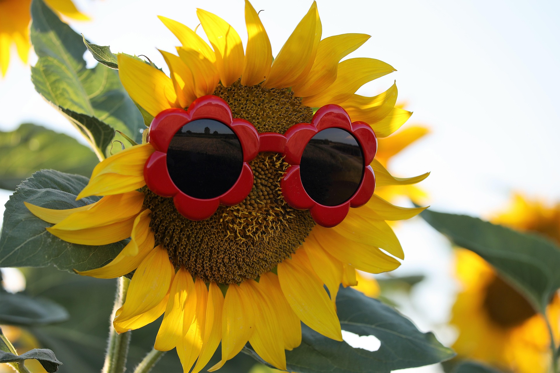 Vrouwen, opgelet! Dit zijn de beste tips voor het warme weer